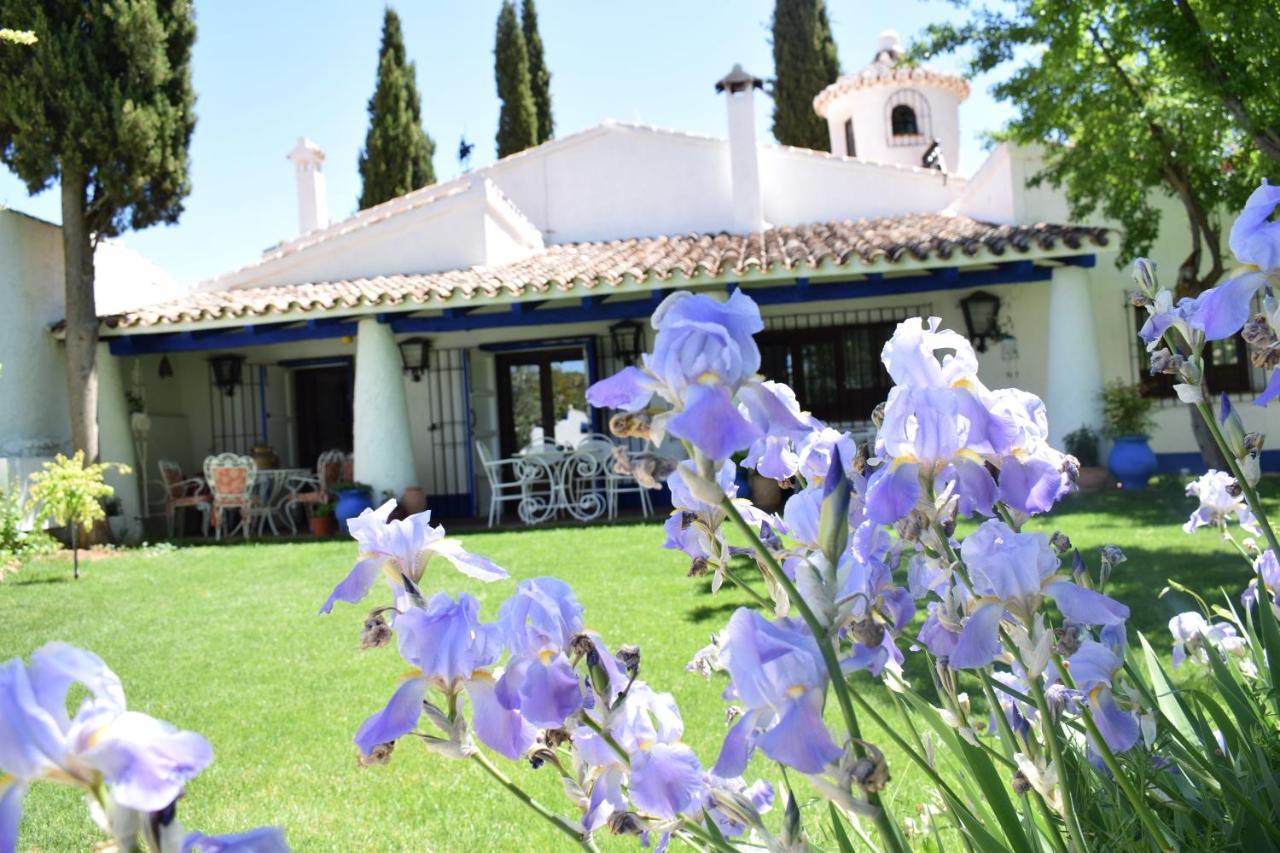 Venta Del Celemin Guest House Ossa de Montiel Exterior photo